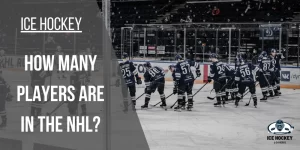 How Many Players are in The NHL?