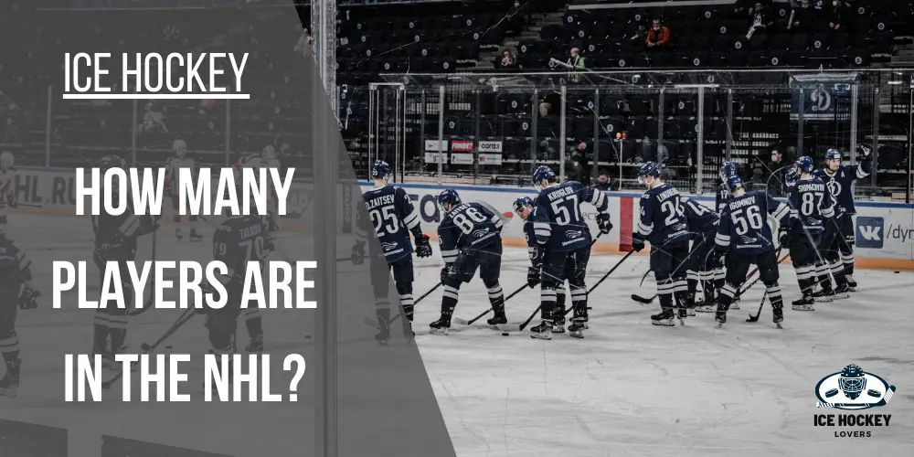 How Many Players are in The NHL